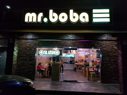 Mr. BOBA
