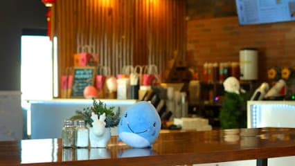 The Whale Tea-Bridgeport (Sabor Puerto Chino)