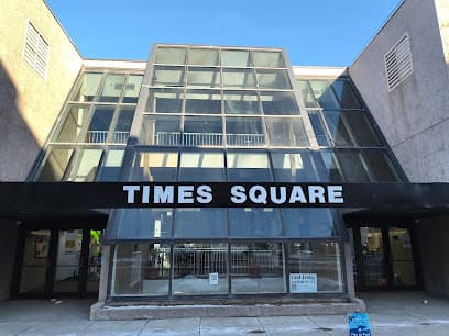 Times Square Great Falls